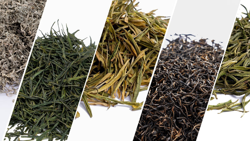 How to Choose the Right Tea for Daily Immune Support