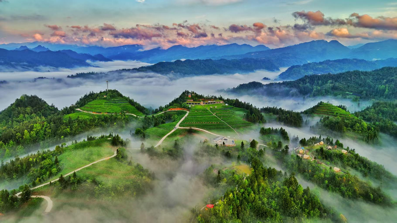 From Enshi Mountains to the World