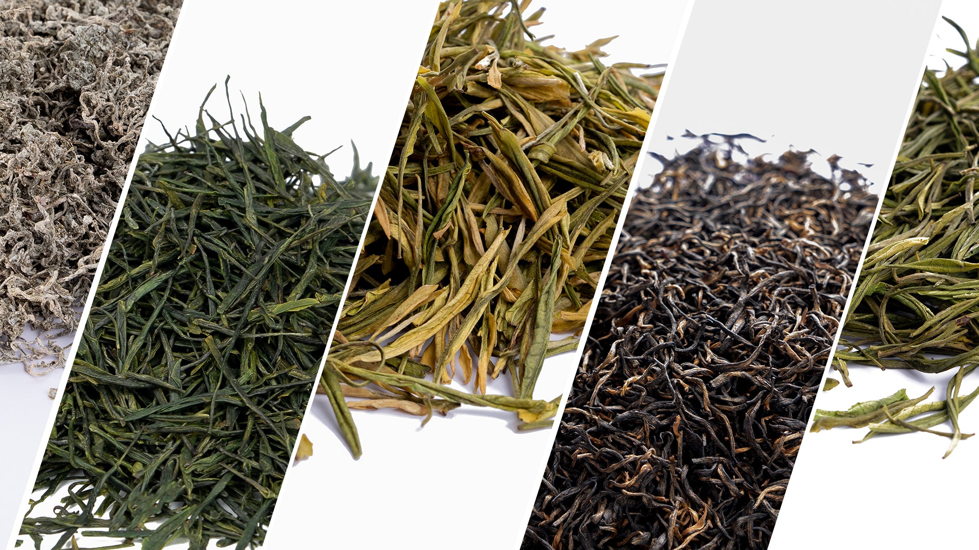 5 tea samples: Tengcha, Enshi Yulu, Xianfeng White Tea, Jin Junmei, Xianfeng Nai Bai Tea