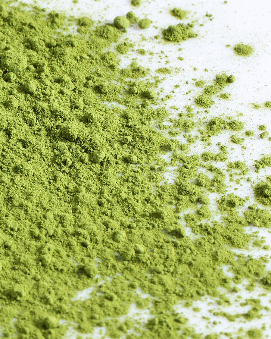 High quality ceremonial matcha powder from China with fine grinding texture for wholesale tea supply