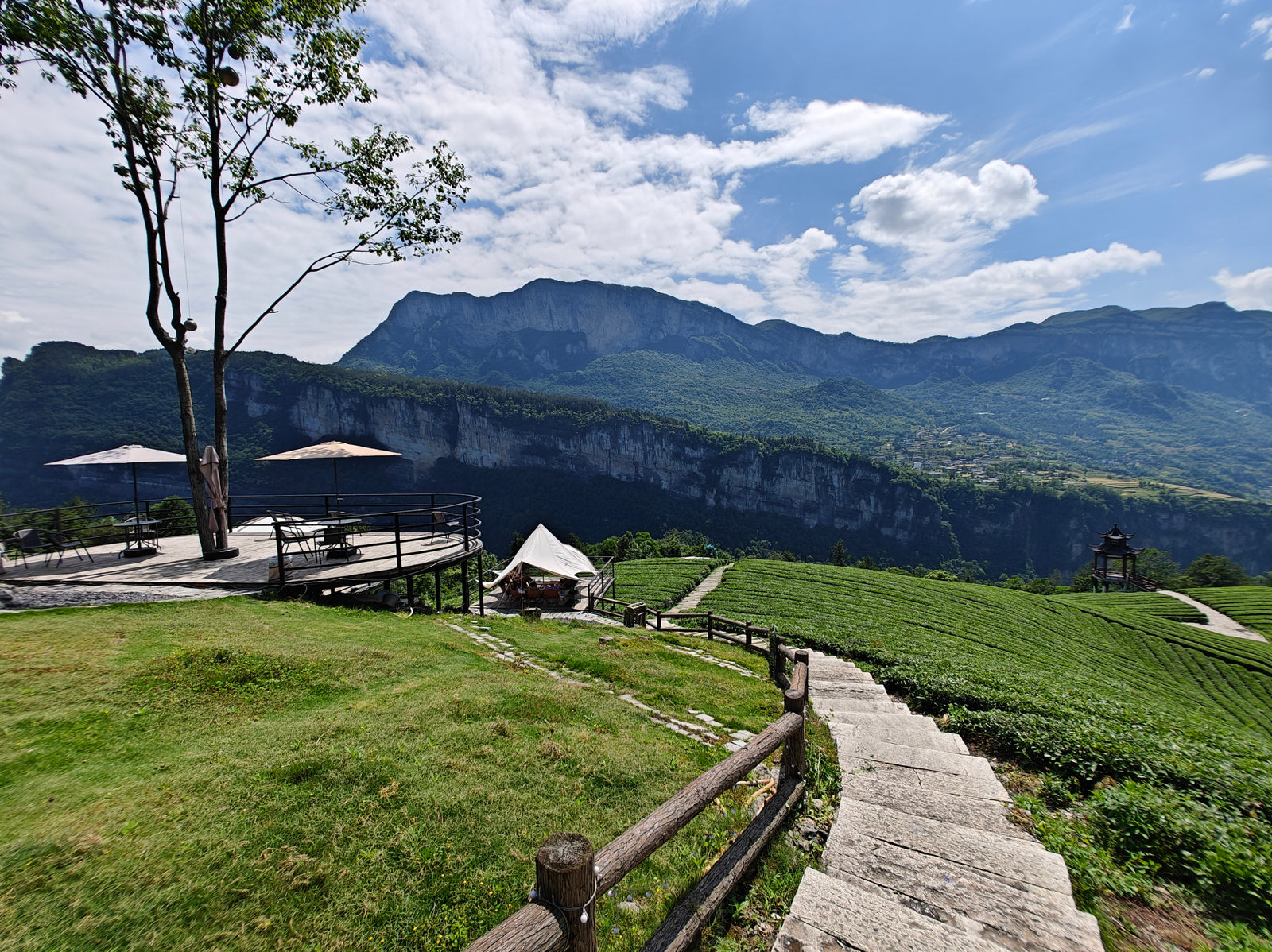 Enshi tea mountain origin in Hubei China