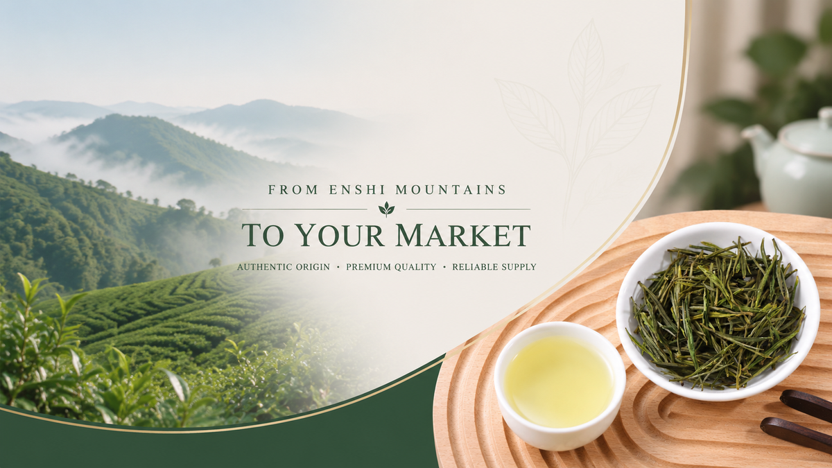 Premium Chinese tea from Enshi mountains with high altitude tea gardens, fresh tea leaves and global wholesale supply