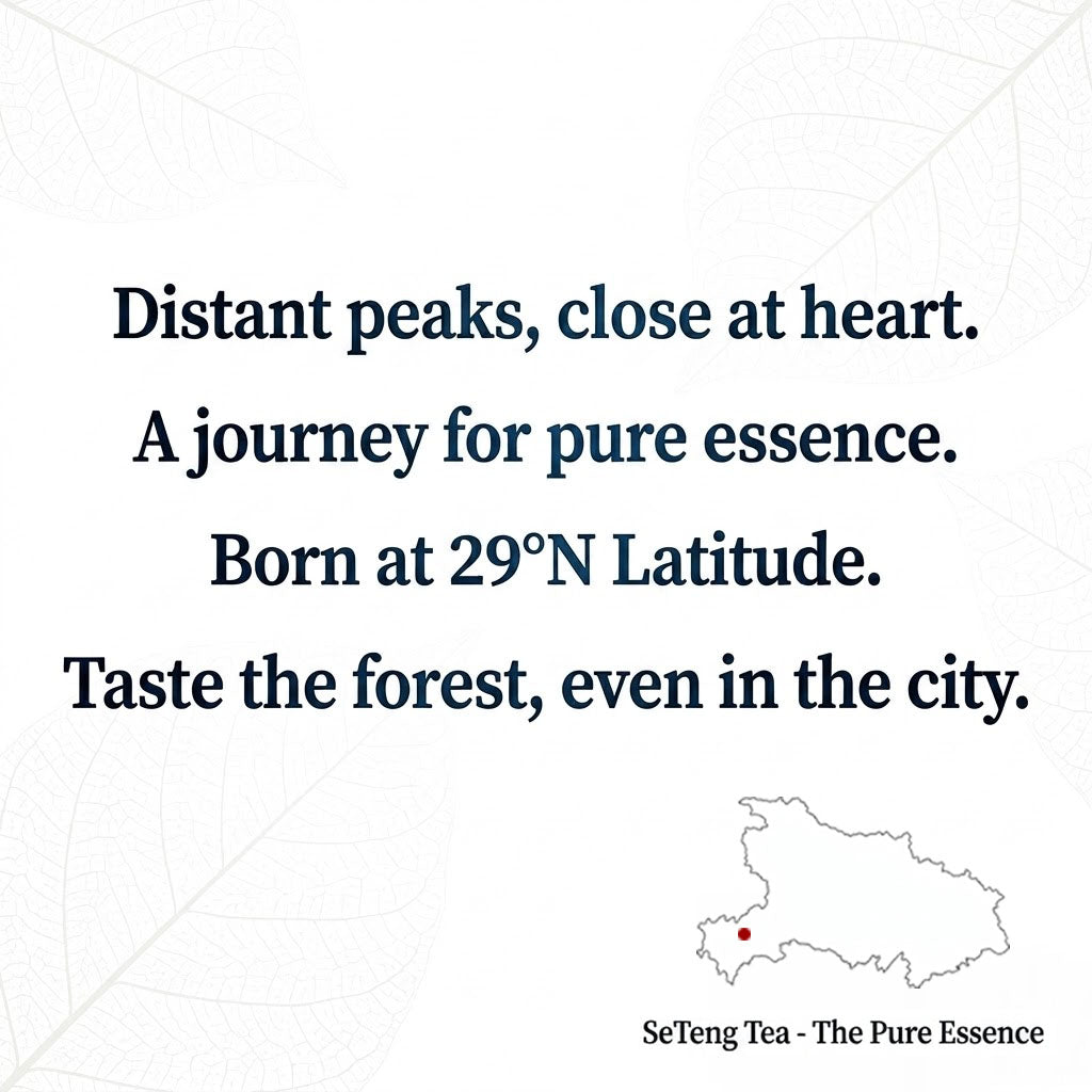 A map highlighting the origin of SeTeng Tea in Hubei, located at the ideal 29°N latitude for cultivating premium authentic Chinese teas.