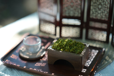 Traditional tea ceremony