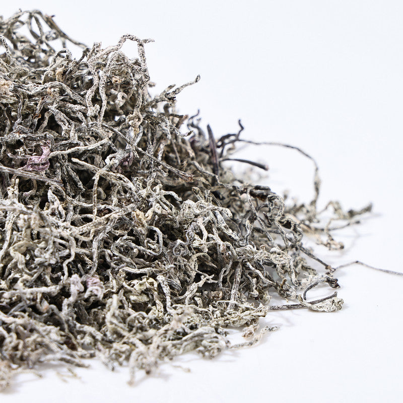 Macro shot of dried Vine Tea leaves covered in natural Dihydromyricetin (DHM) crystals, an essential element of Enshi tea.