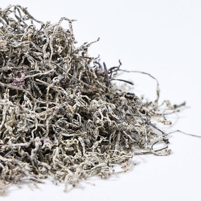 Macro shot of dried Vine Tea leaves covered in natural Dihydromyricetin (DHM) crystals, an essential element of Enshi tea.