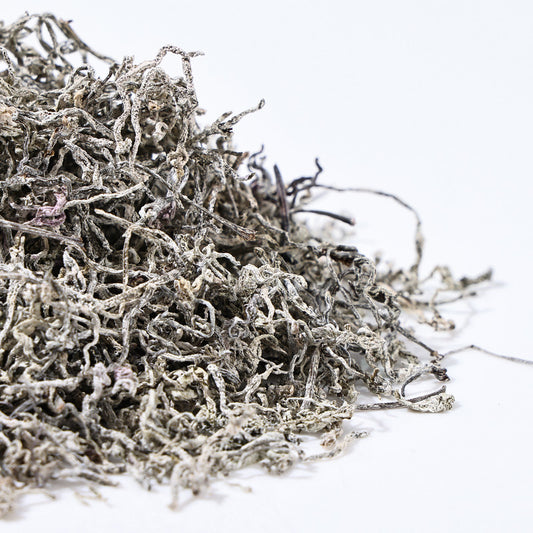 Macro shot of dried Vine Tea leaves covered in natural Dihydromyricetin (DHM) crystals, an essential element of Enshi tea.