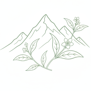 Wild Mountain Origin